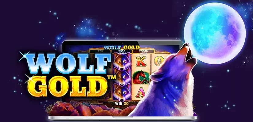 How to Find Reliable Casino Options for the Wolf Gold Slot